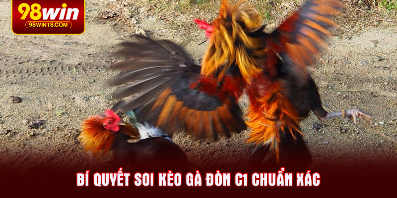 Bí quyết soi kèo gà đòn C1 chuẩn xác