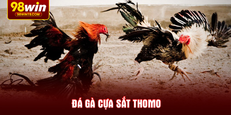 da-ga-cua-sat-thomo
