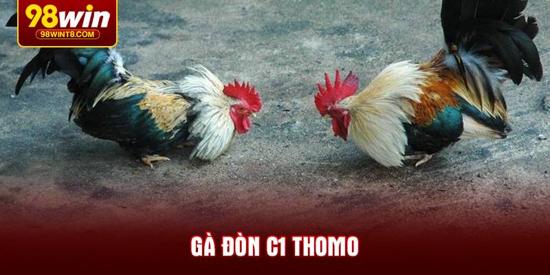 ga-don-c1-thomo